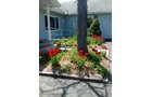 Entrance Handicap Accessible - REAL ESTATE AUCTION, Crossroads Flowers